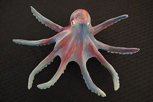An image of Kyra Atkins ceramic octopus, Hank.